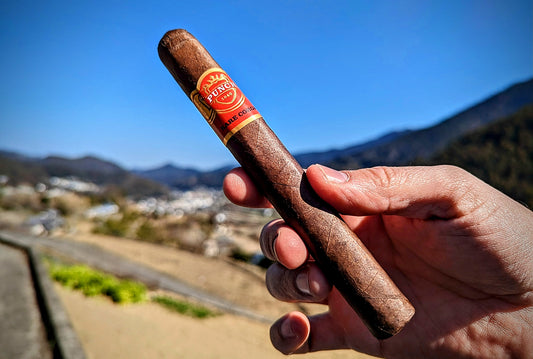 Punch "Rare Corojo" Review: Savoring the World's Most Deceptive Cigar
