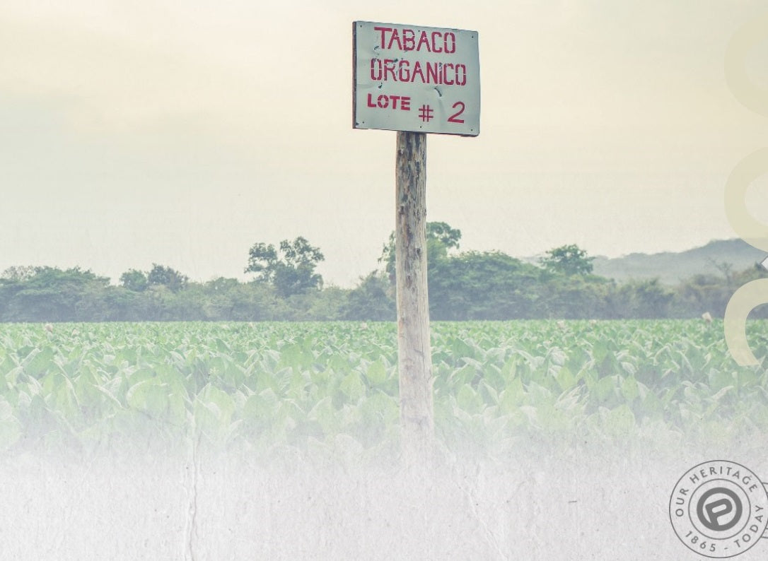 tobacco pesticides CVUA Stuttgart Nicotine is a Potent Poison