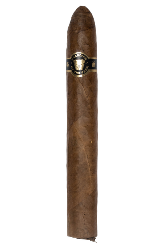 Casa Fernandez Guardian of the Farm