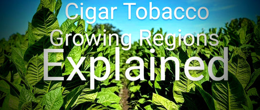 Cigar Tobacco Growing Regions Explained