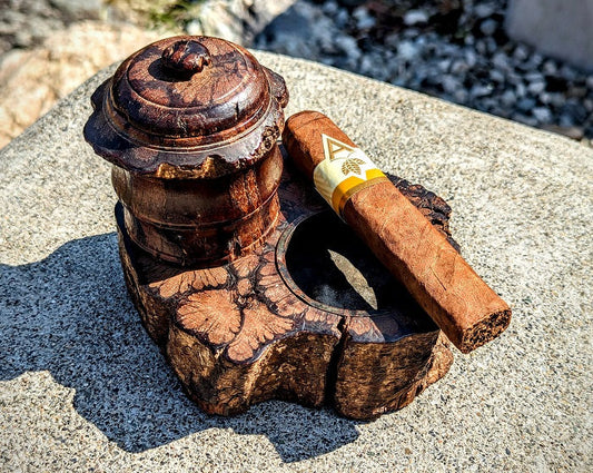 Artista Cigars "Harvest" Review: Honey, Apricots & Roasted Nuts