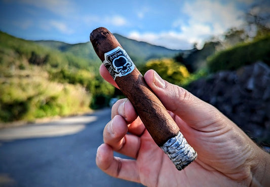 Asylum "Nyctophilia" Review: Finding Delight in the Darkness of 100% Maduro Leaf