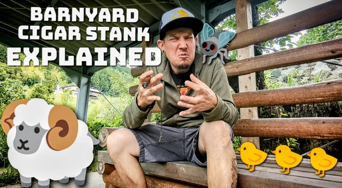 3 Minute Deep Dive: Barnyard Cigar Stank Explained – Klaro Cigars