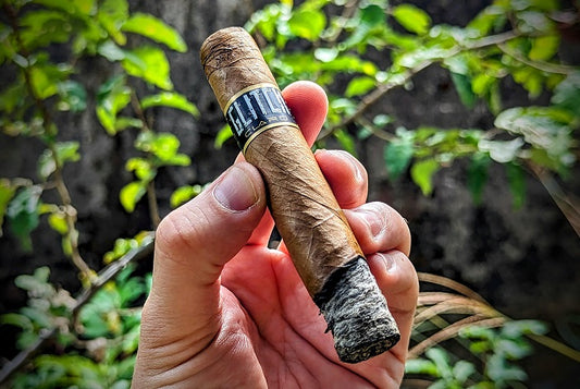 Blackbird Cigar Co. "Glitch Claro" Review: Ginger Snaps in the Shade