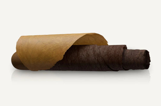 Cigar Bondage: The Double Binder Explained