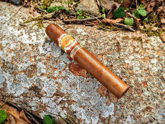 La Aurora "1903 Cameroon" Review: And the Award for the Shiniest Cigar Wrapper of the Year Goes To...