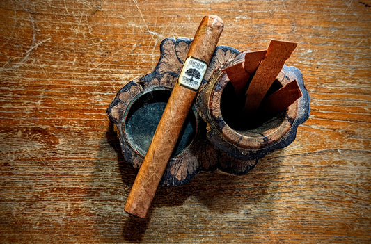 Foundation Cigars "Charter Oak CT Broadleaf Maduro" Review: Earth, Spice, & Tannin Time