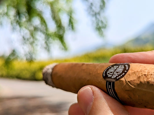 Sancho Panza "Dulcinea" Review: Back to the Starting Point of a Cigar Journey