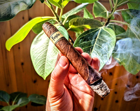 Foyle "Meteor Hammer" Review: The Perfecto Criollo Cigar Personified