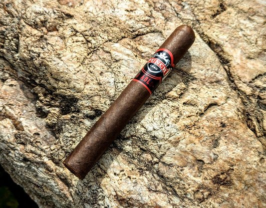 Punch "Diablo" Review: A Dark Chocolate Berry Coffee Crunch Roll of a Cigar