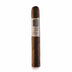 Blackbird Glitch Maduro