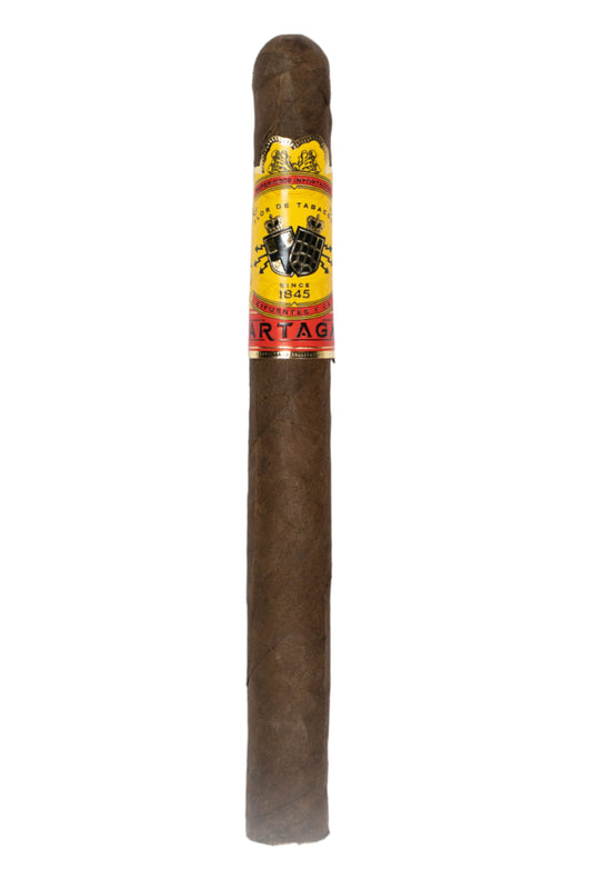 Partagas No. 10