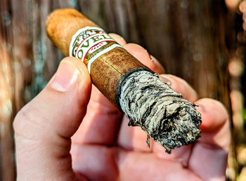 cigar travel case canada