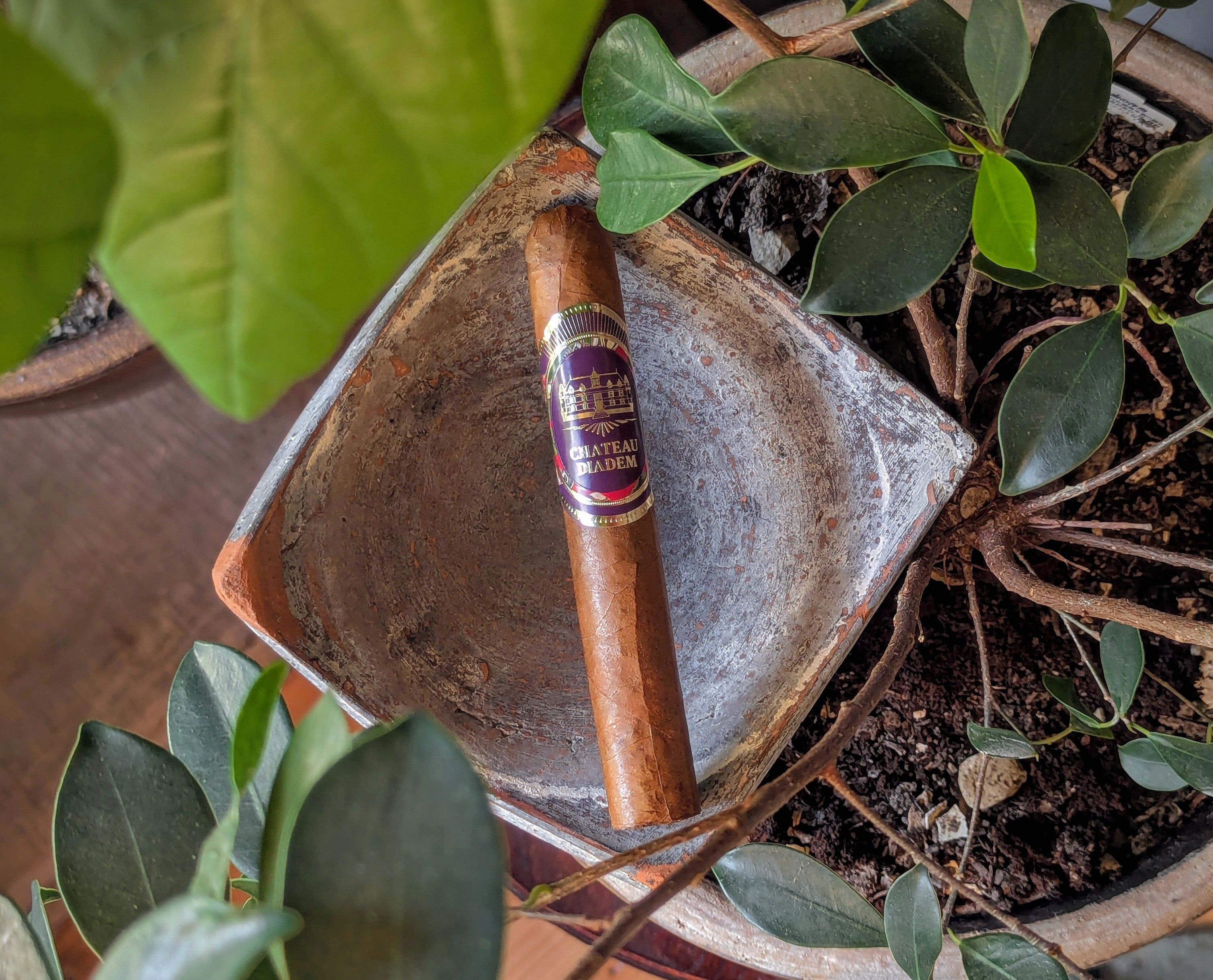 West Tampa Tobacco Company Devil Crab – Klaro Cigars