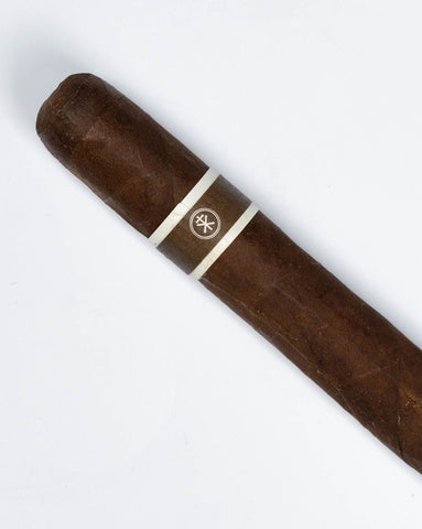 RoMa Craft CroMagnon Anthropology