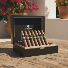 El Septimo Long Shot Black