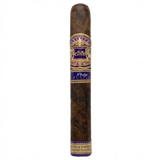 Casa Carrillo Pledge Purple